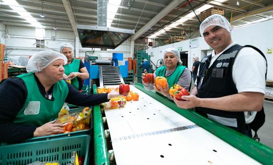 Глобальный ВВП вырастет в 2026 году, по прогнозам, на 2,7 процента.